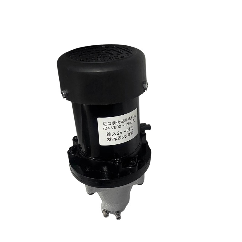 12V-60V 500W-1500W Borstelloze - Fishing Boat Outboard Motor recensie en prijs